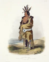 Pachtuwa-Chta, Arrikkaran soturi, levy 27 kirjan "Travels in the Interior of North America" osan 1, kaiverrus Talbot, 1843 (akvatinta)